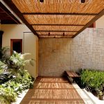 Colihue de 1 a 2m - Imagen 3